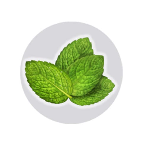 Gran sabor a menta