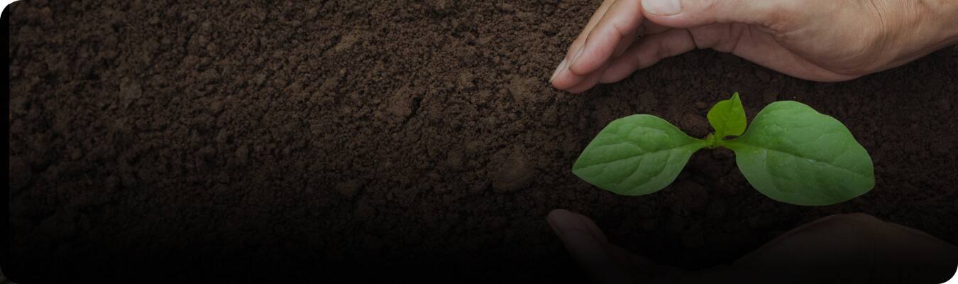 Sustainable dental care products Sustainable dental care products