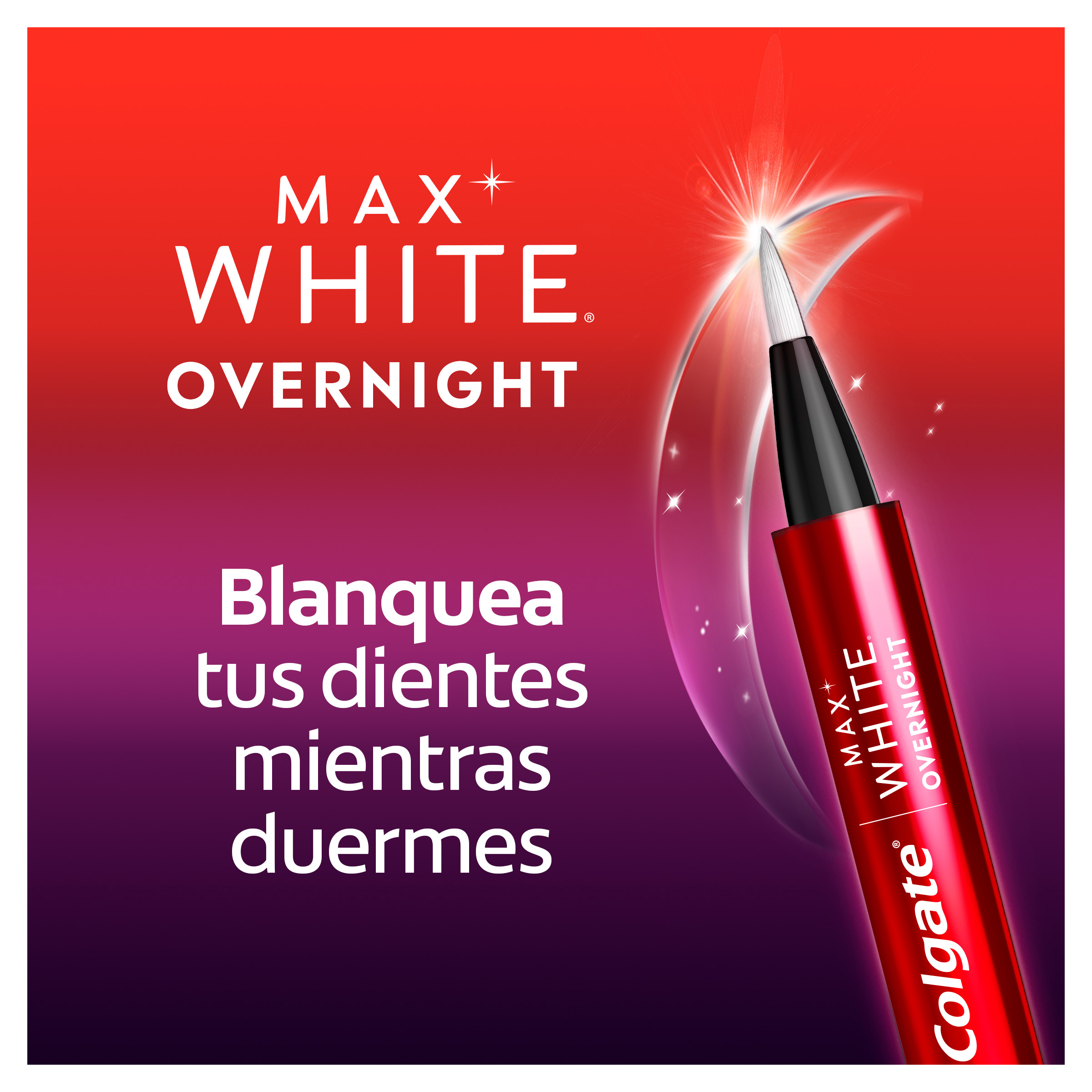 Max white obernight